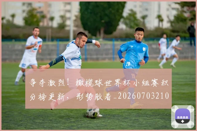 争夺激烈！橄榄球世界杯小组赛积分榜更新，形势胶着_20260703210721