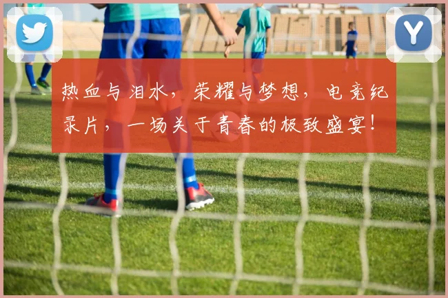 热血与泪水，荣耀与梦想，电竞纪录片，一场关于青春的极致盛宴！