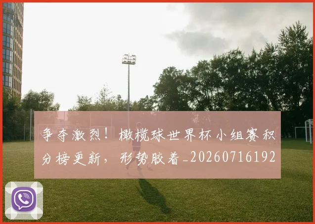 争夺激烈!橄榄球世界杯小组赛积分榜更新,形势胶着_20260716192801