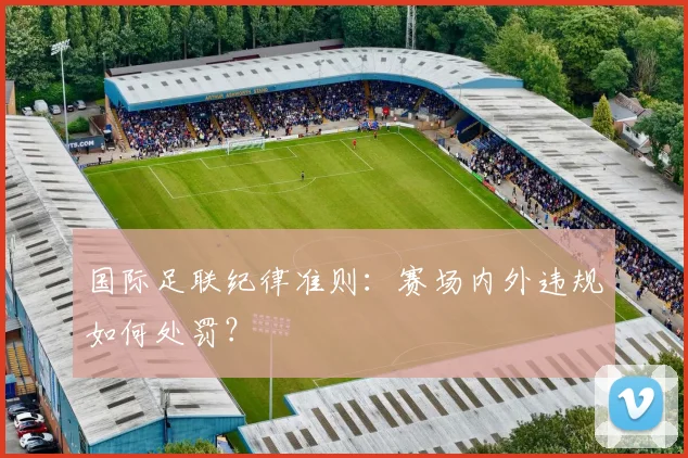 国际足联纪律准则：赛场内外违规如何处罚？
