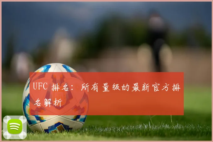 UFC 排名:所有量级的最新官方排名解析