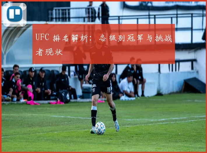 UFC 排名解析：各级别冠军与挑战者现状